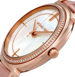  Shop Authentic Michael Kors Cinthia Mother of Pearl Rose Gold Dial Rose Gold Steel Strap Watch for Women - MK3643 - Luxxuri