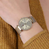  Shop Authentic Tommy Hilfiger Lynn Quartz Gold Dial Gold Mesh Bracelet Watch For Women - 1781864 - Luxxuri