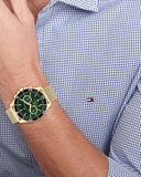  Shop Authentic Tommy Hilfiger Jordan Chronograph Green Dial Gold Mesh Strap Watch For Men - 1792093 - Luxxuri