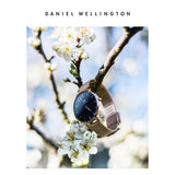  Shop Authentic Daniel Wellington Classic Petite Melrose Black Dial Rose Gold Mesh Bracelet Watch For Women - DW00100217 - Luxxuri