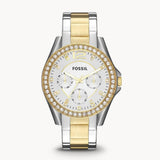  Shop Authentic Fossil Riley White Dial Two Tone Steel Strap Watch for Women - ES3204 - Luxxuri