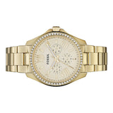  Shop Authentic Fossil Cecile Chronograph Gold Dial Gold Steel Strap Watch for Women - AM4482 - Luxxuri