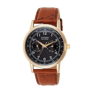  Shop Authentic Citizen Eco Drive Multi Function Day & Date Black Dial Brown Leather Strap Watch For Men - AO9003-08E - Luxxuri