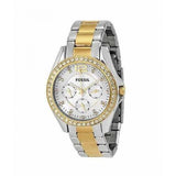  Shop Authentic Fossil Riley White Dial Two Tone Steel Strap Watch for Women - ES3204 - Luxxuri