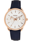  Shop Authentic Fossil Tailor White Dial Blue Leather Strap Watch for Women - ES4260 - Luxxuri