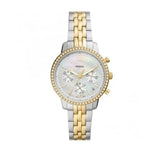  Shop Authentic Fossil Neutra Chronograph Mother of Pearl White Dial Two Tone Steel Strap Watch for Women - ES5216 - Luxxuri