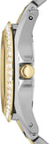  Shop Authentic Fossil Riley White Dial Two Tone Steel Strap Watch for Women - ES3204 - Luxxuri