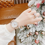  Shop Authentic Michael Kors Layton Mother of Pearl White Dial Brown Leather Strap Watch For Women - MK2910 - Luxxuri