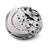  Shop Authentic Omega Planet Ocean 6000M Co Axial Master Chronometer 45.5mm White Dial Silver Steel Strap Watch for Men - 21530462104001 - Luxxuri